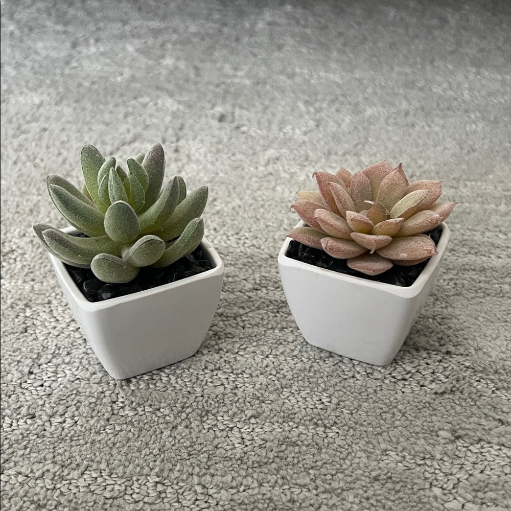 Mini Artificial Succulent Plants